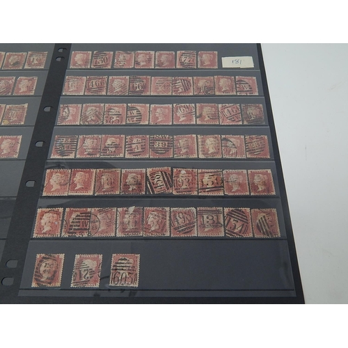 99 - A collection of 89 x Victorian Penny Reds all Plate 181 housed on 2 x Hagner sheets