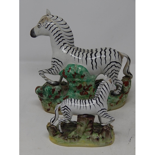 230 - Unmarked Zebra X1 large x1 small