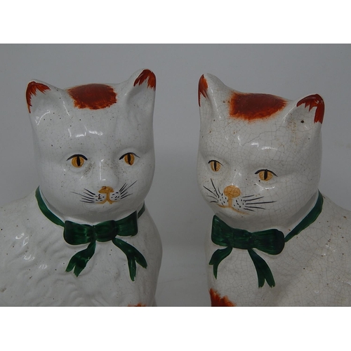 278 - Ornament Cats X2