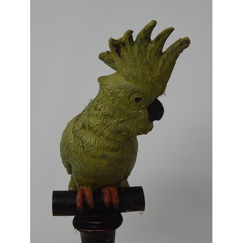 488 - Bird on Wooden Perch