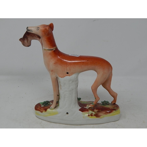 491 - Hunting Dog