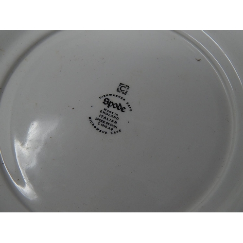 591 - Large Spode Bowl