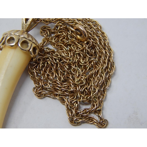 236 - 9ct Gold Mounted Tusk Pendant on 9ct Gold Chain