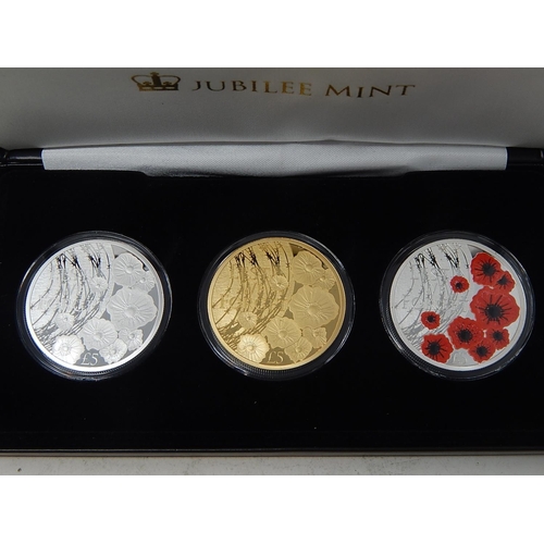 36 - 2019 Remembrance Day £5 coin collection of 3 coins in fitted case with COA; Coronation 24ct Gold Pla... 