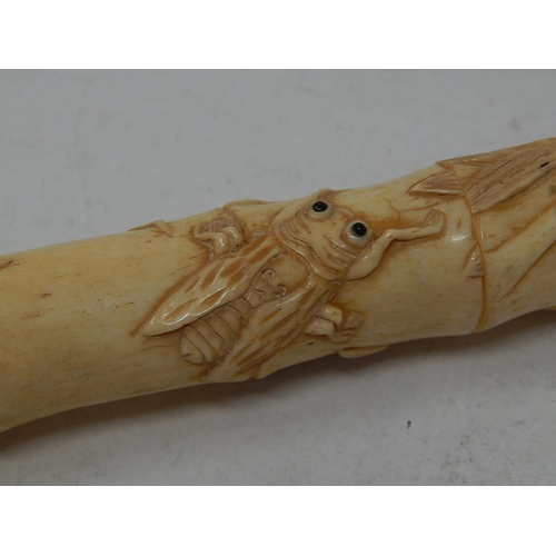 344 - Chinese Carved Bone Tubular Opening Case, Decorated with Crickets & Cockroaches: Measures 20cm