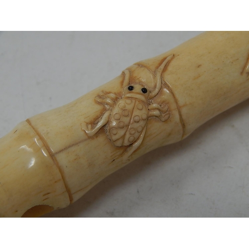 344 - Chinese Carved Bone Tubular Opening Case, Decorated with Crickets & Cockroaches: Measures 20cm