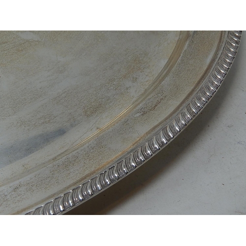 264 - Large Silver on Copper Serving Tray with Gadrooned Border: Measuring 55cm x 41cm.