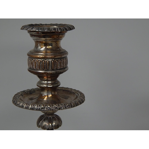 266 - Large C19th Silver on Copper Three Branch Candelabra complete with sconces: Measuring 50cm high x 45... 