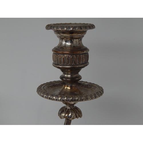 266 - Large C19th Silver on Copper Three Branch Candelabra complete with sconces: Measuring 50cm high x 45... 