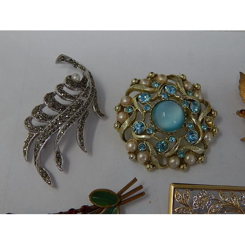 199 - Quantity of Vintage Costume Jewellery Brooches (11)