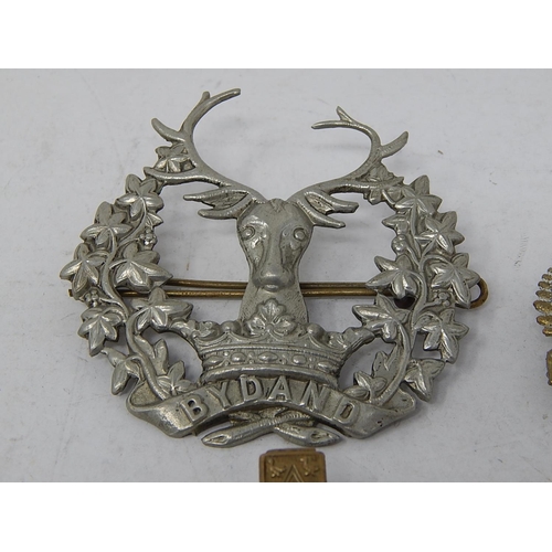 330 - 10 x Assorted Vintage MILITARY Cap Badges Inc WW1, WW2, New Zealand, Scottish. 644701