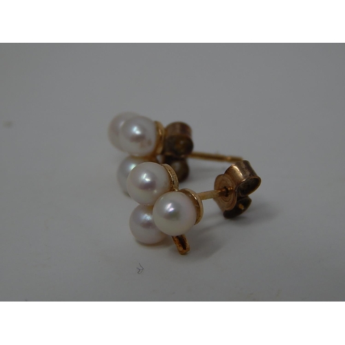 241 - 9ct gold pearl set studs. 340149