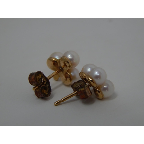 241 - 9ct gold pearl set studs. 340149