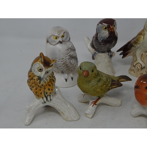 411 - A collection of 10 x Goebel Birds