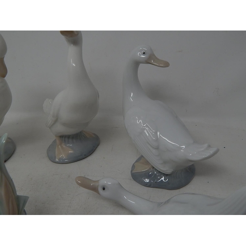 420 - Nao by Lladro Ducks and Geese