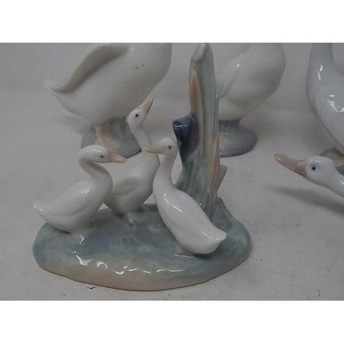 420 - Nao by Lladro Ducks and Geese