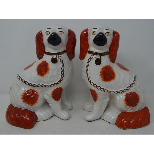 567 - Pair of Staffordshire Dogs with Gilded Collars: Measuring 22.5cm high