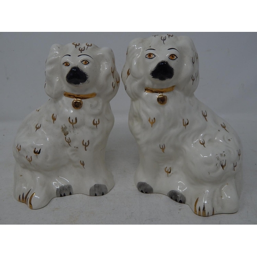 568 - Two Pairs of Staffordshire Dogs: Tallest 14cm high