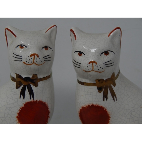 569 - Pair of Staffordshire Cats: Measuring 18.5cm high