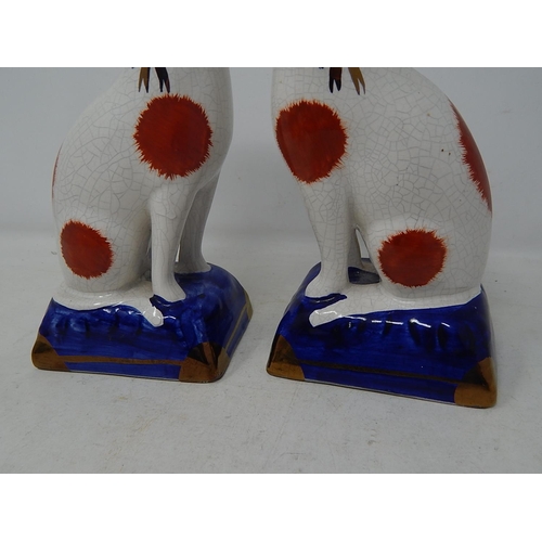 569 - Pair of Staffordshire Cats: Measuring 18.5cm high