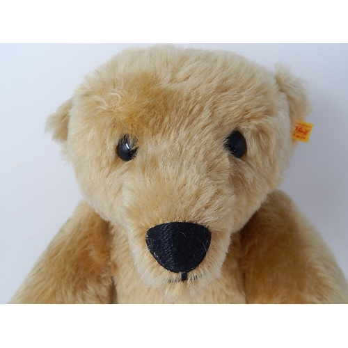 505 - STEIFF: Teddy Bear with Growler, Button in Ear & Tag: Height 48cm