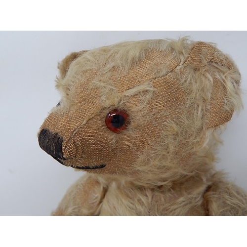 711 - IN NEED OF A LOVING NEW HOME: Antique Bear rescued from attic: Long snout, arms, humped back & glass... 