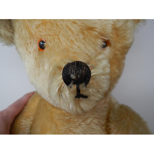 728 - IN NEED OF NEW HOME: 1960's Plush Jointed Teddy Bear with Replacement Pads: Height 72cm