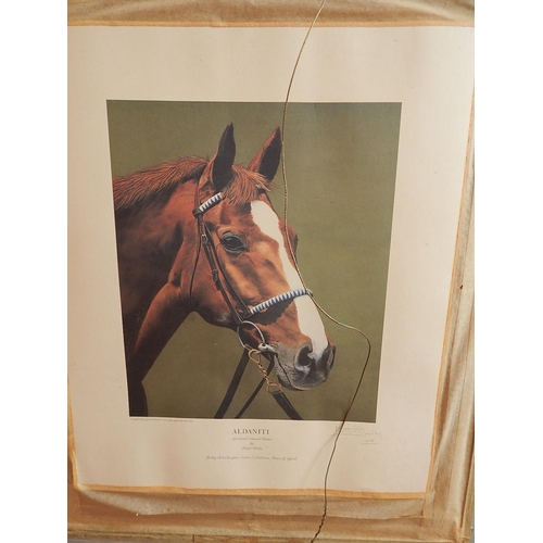 739 - MARTYN BAILEY: Oil on Board of 1981 Grand National Winner 