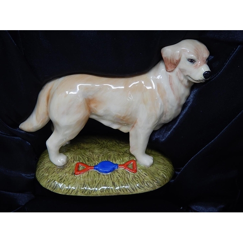 633 - Royal Doulton: Golden Retriever with Stand & COA: Boxed. Measures 16cm wide.