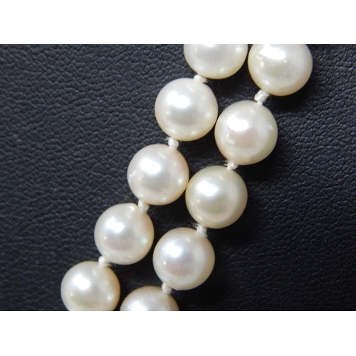 37 - 14ct White Gold & Diamond Set Cultured Pearl Two Strand Necklace: Valued @ £2750.00
