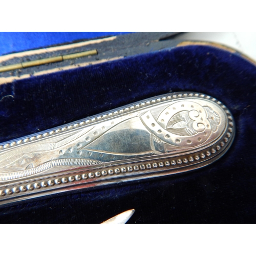 39 - Early Victorian Silver Fish Servers: Hallmarked Sheffield 1840 by Martin & Hall in Original Fitted C... 