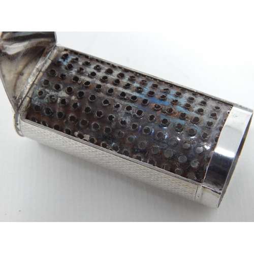 23U - William IV Silver Nutmeg Grater: Hallmarked Birmingham 1834 by Taylor & Perry