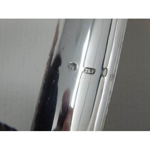 23U - William IV Silver Nutmeg Grater: Hallmarked Birmingham 1834 by Taylor & Perry