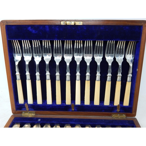 342 - Complete Edwardian Mahogany Canteen of Ivory Handled Fish Cutlery for 12 Place Settings with Silver ... 