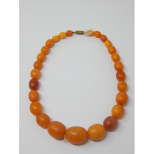 345 - Butterscotch Amber Necklace comprising 27 Graduated Beads: Length 39cm: Weight 40g