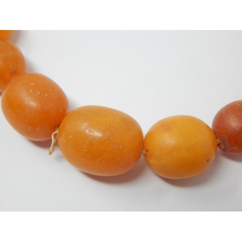 345 - Butterscotch Amber Necklace comprising 27 Graduated Beads: Length 39cm: Weight 40g