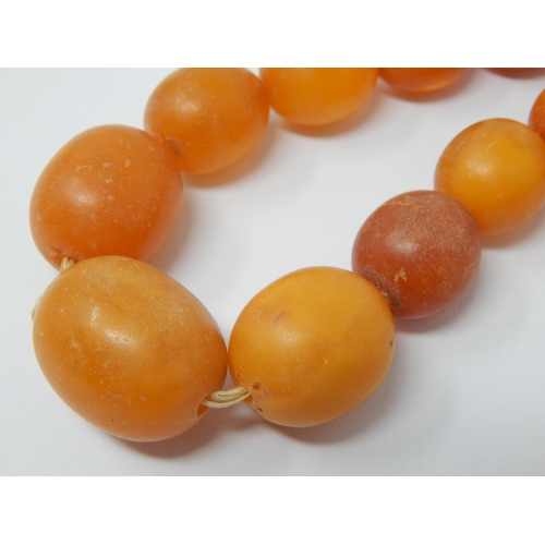 345 - Butterscotch Amber Necklace comprising 27 Graduated Beads: Length 39cm: Weight 40g