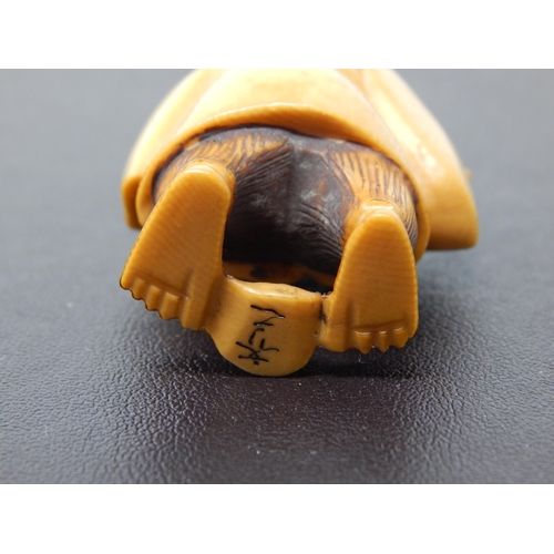 653 - Signed Japanese polychrome inked Ivory Netsuke in the form of an Elder fishing' 50mm