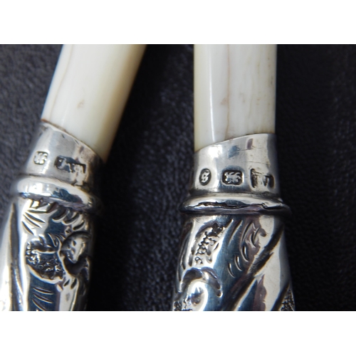 674 - A Pair of Victorian Silver Handled Ivory Glove Stretchers with Repousse Floral Decoration: Hallmarke... 