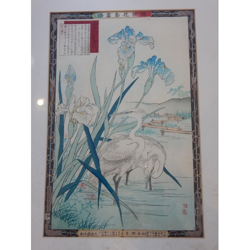 609 - Antique Chinese Painting of Cranes wading amongst foliage within a lake: Chinese character script & ... 