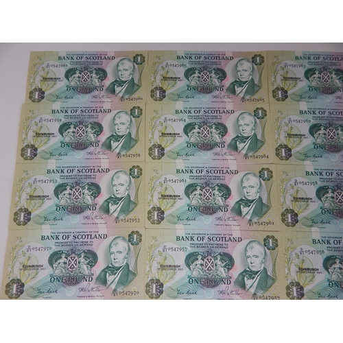 171 - Collection of 14 x Bank of Scotland One Pound Notes 12 December 1985, all crisp and about Uncirculat... 