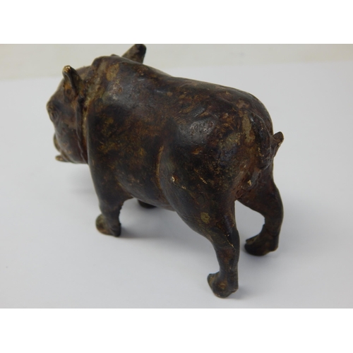 980 - Antique Bronze Figure of a Boar with Bell around his neck: Wonderful patina. Measures 9cm wide