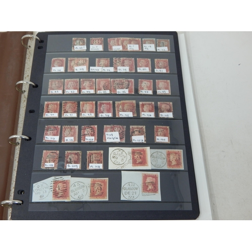 327 - A superb selection of QV Penny Reds , plated; a selection of other QV stamps; KGV inc Seahorse; KGVI... 