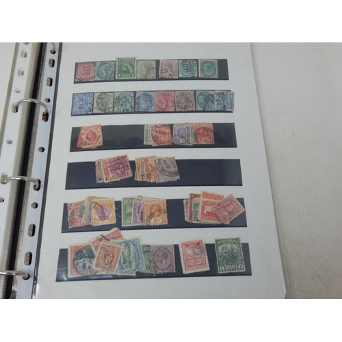 327 - A superb selection of QV Penny Reds , plated; a selection of other QV stamps; KGV inc Seahorse; KGVI... 