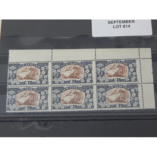 814 - New Zealand 1935 SG 560 in blocks with controls, other NZ