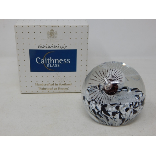 547 - Caithness Paperweight 