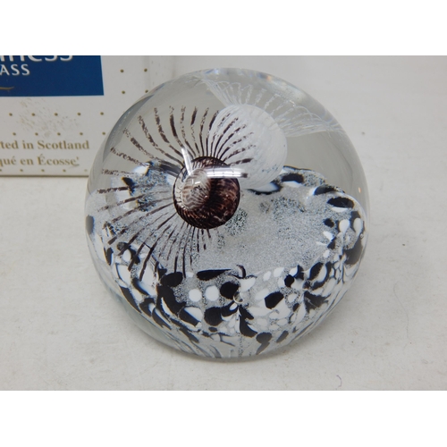 547 - Caithness Paperweight 