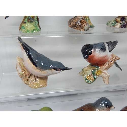 278 - A Collection of 10 Beswick Bird Figures Including: Grey Wagtail, Greenfinch, Robin, Whitethroat, Wre... 