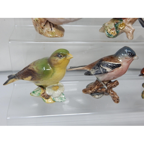 278 - A Collection of 10 Beswick Bird Figures Including: Grey Wagtail, Greenfinch, Robin, Whitethroat, Wre... 