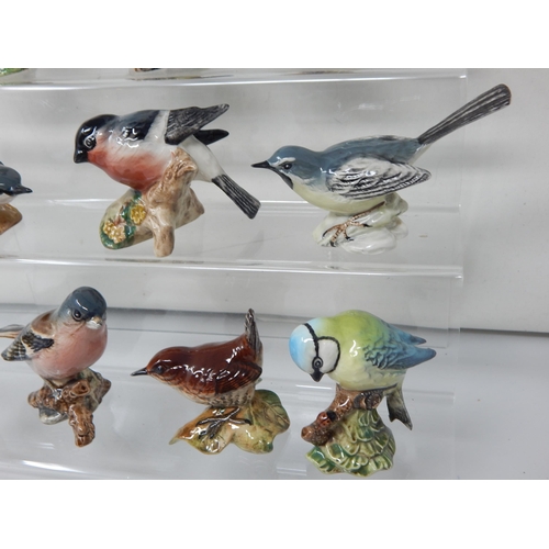 278 - A Collection of 10 Beswick Bird Figures Including: Grey Wagtail, Greenfinch, Robin, Whitethroat, Wre... 